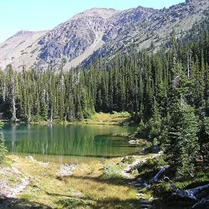 Alpine lake surrounded by pine trees and rugged hills Olympic National Park Autumn