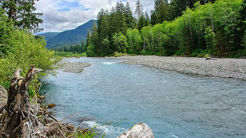 Olympic National Park 10 Best Hikes | Wildland Trekking