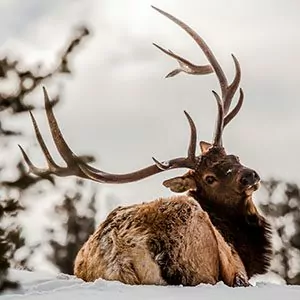 Best Time To Visit Rocky Mountain National Park Wildland Trekking