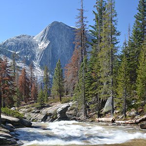 Giant granite monoliths loom above the valley floor in yosemite national park