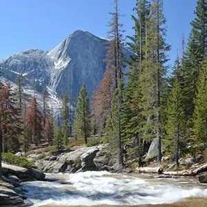 El Capitan peaks through the forest as a river rushes by in Yosemite