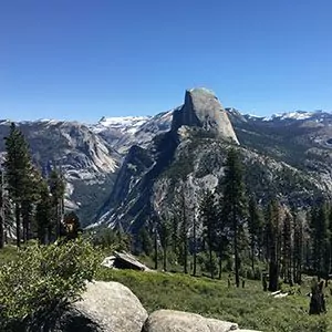 Spring time in Yosemite National Park with lush flora blue skies granite monoliths