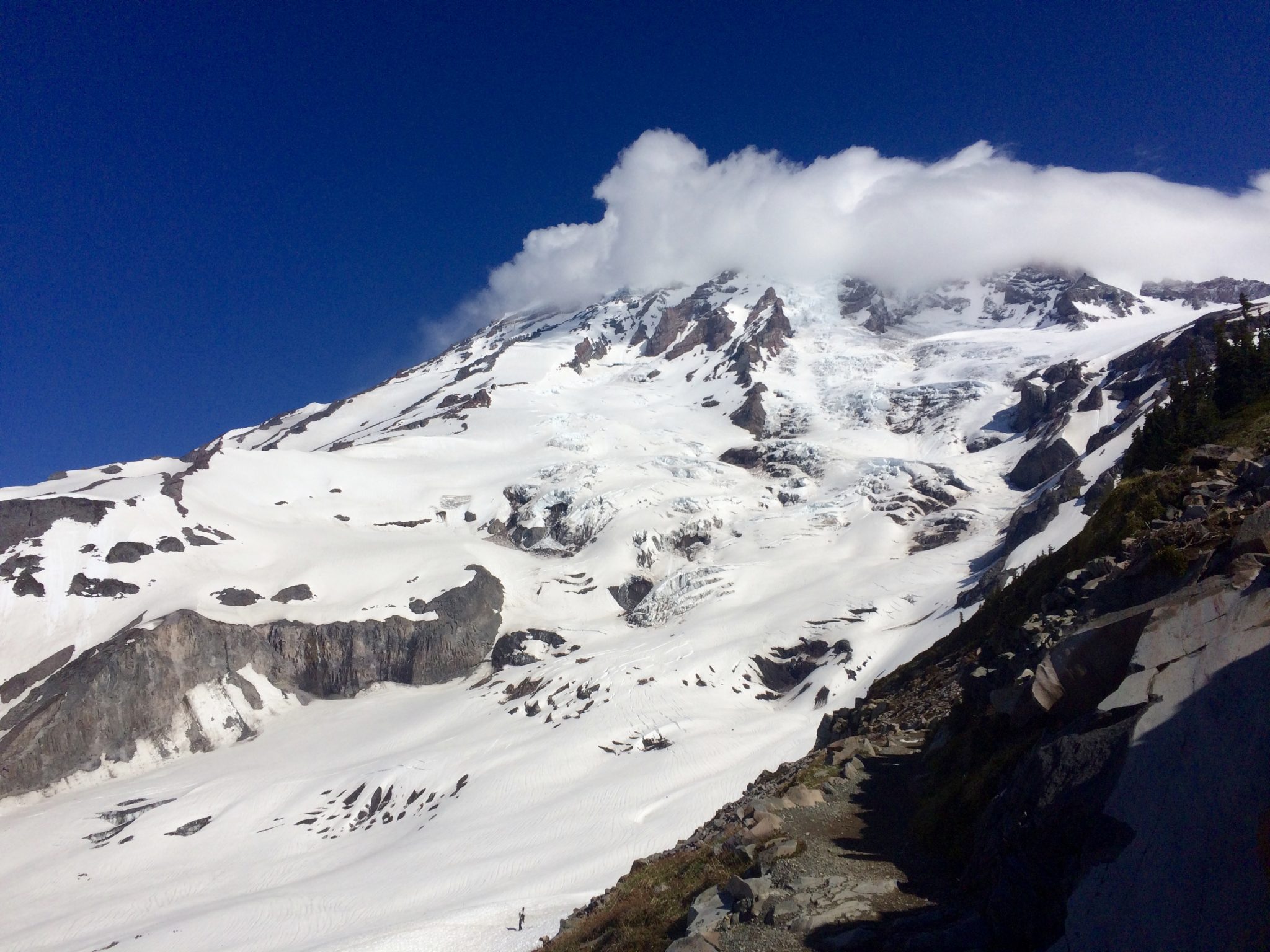 Best Three Mount Rainier Day Hikes Wildland Trekking