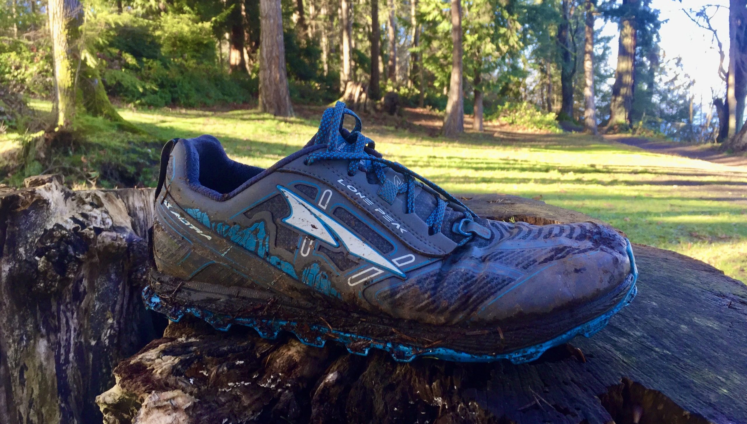 Best Low Top Hiking Shoes Wildland Trekking