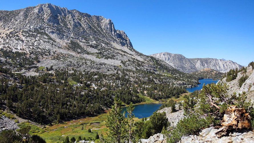 Explore Sequoia & Kings Canyon National Parks With Wildland Trekking ...