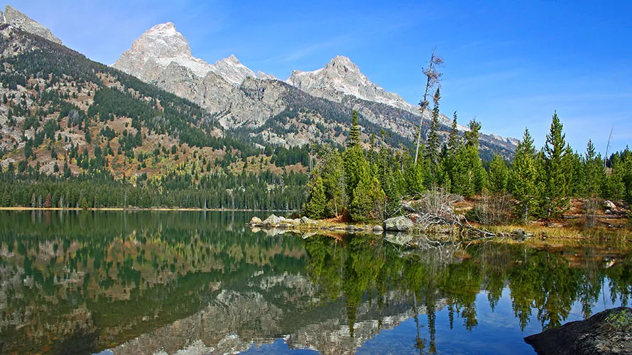 Yellowstone and Tetons National Park Hiking Tour - Wildland Trekking