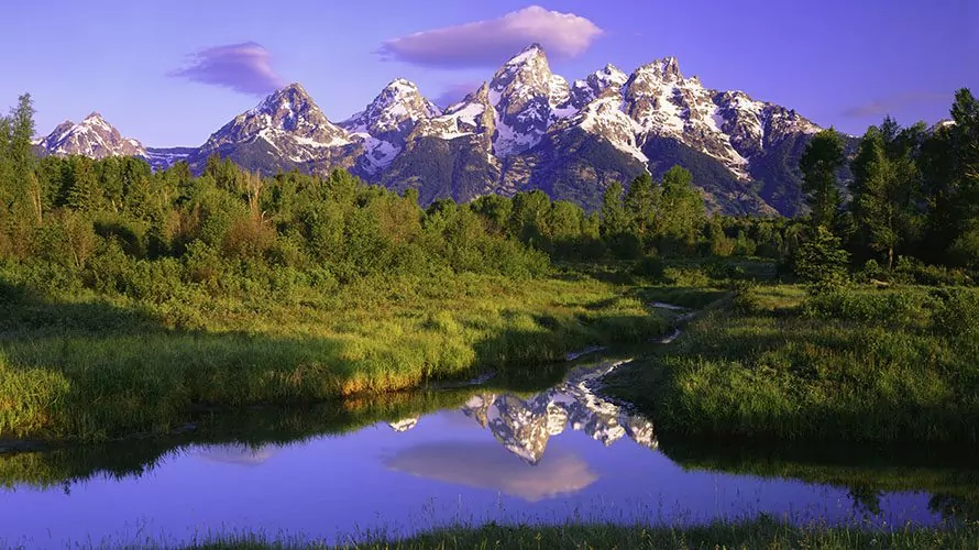 Yellowstone and Tetons National Park Hiking Tour - Wildland Trekking