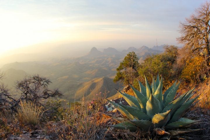 big bend national park texas winter hiking