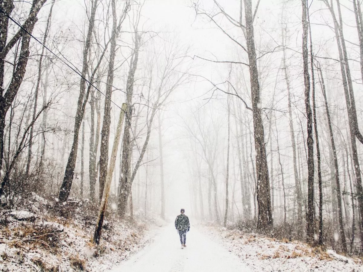 19 Winter Trails You Can Hike Without Snowshoes