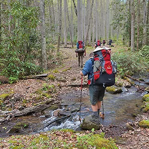 Backpackers cross a small stream en route to camp in the Great Smoky Mountains