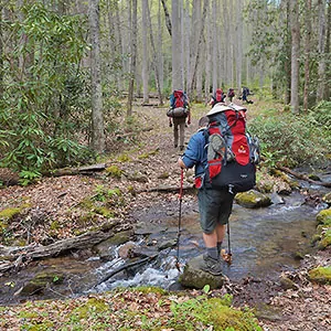 Hikers move under lush forests and streams in the Great Smoky Mountain National Park