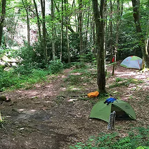 Backcountry permit smokies hotsell