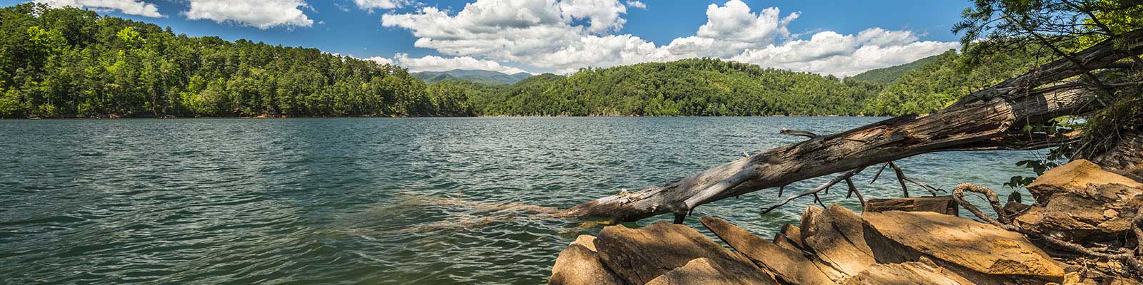 Visiting the Great Smoky Mountains in Summer - Wildland Trekking