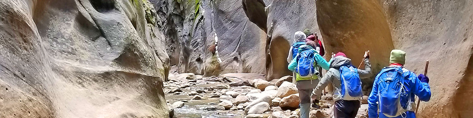 What To See in Zion National Park in One Day | Wildland Trekking