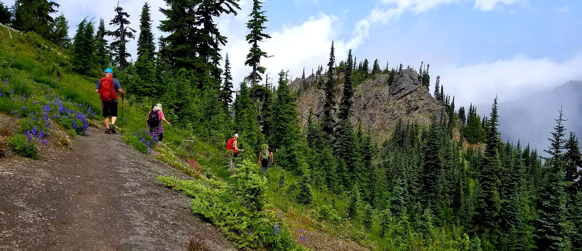 Olympic National Park Visitor Information