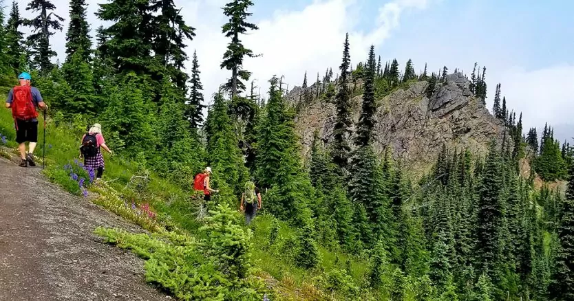 best backpacking trips olympic national park