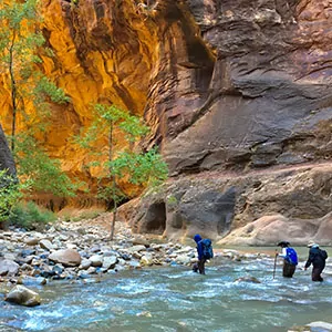Hikers cross a river in Zion National Park