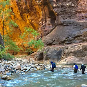 Hikers cross a river in Zion natural beauty 