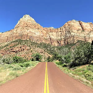 Sandstone blue skies lush flora Zion National Park