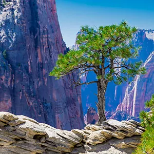 time to visit zion national park