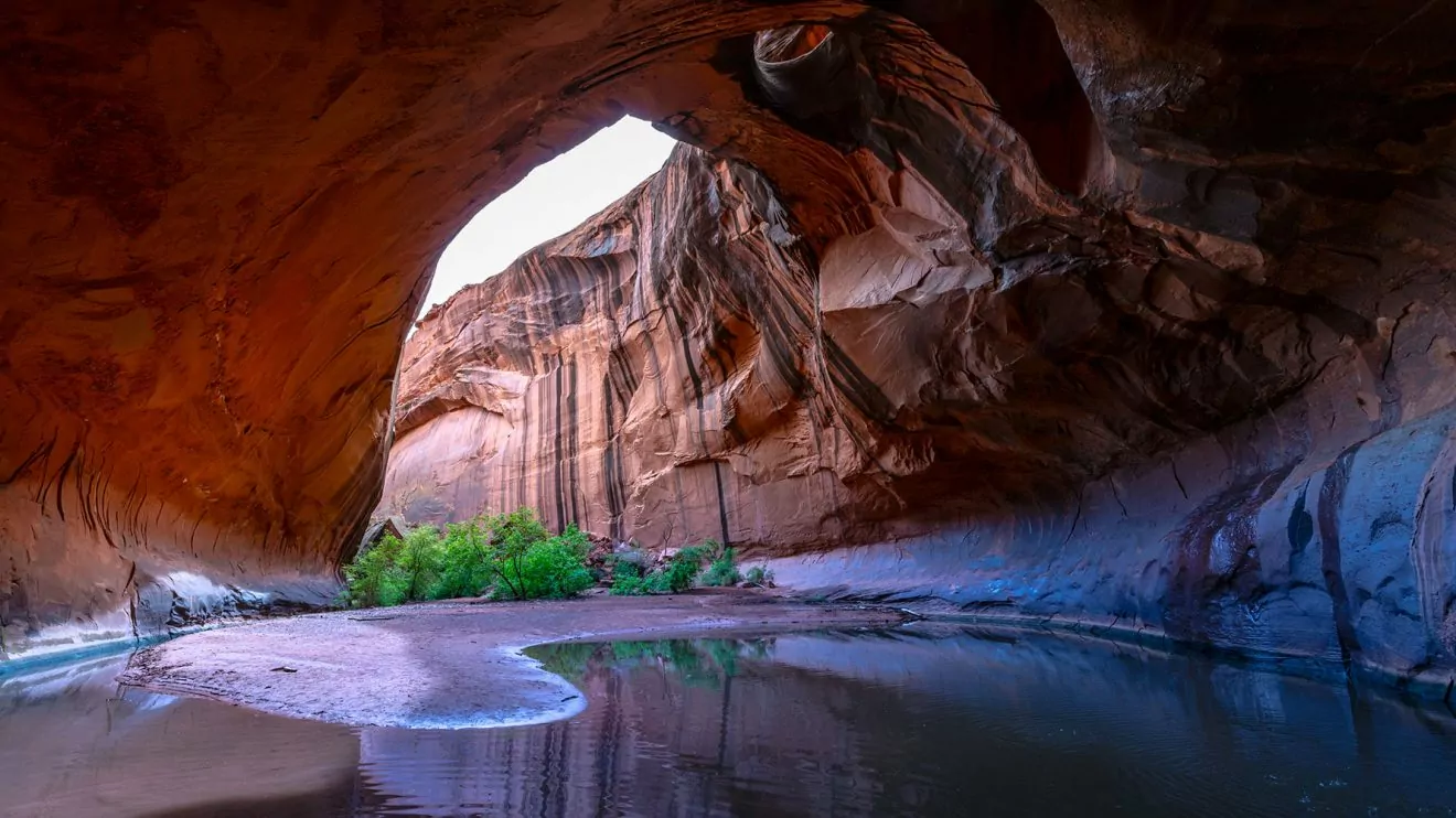 Wide angle Horizontal composition Golden Cathedral Neon Canyon Escalante National Park Utah