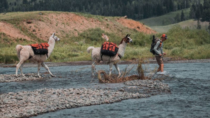 guided backpacking trips oregon