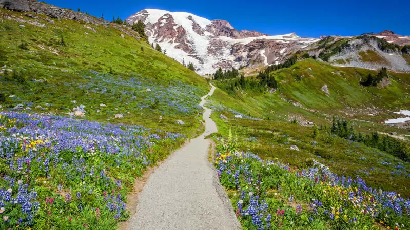 Wonderland Trail in Mount Rainier National Park