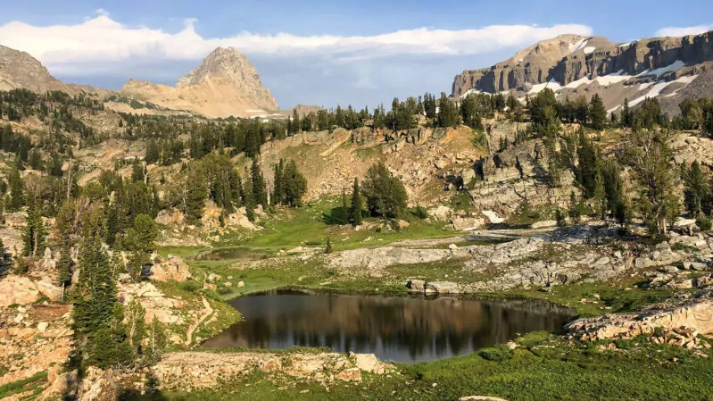 Jedediah Smith Wilderness in the Tetons