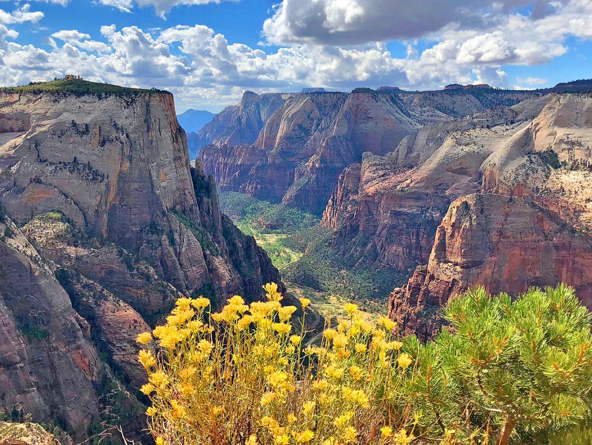 Zion National Park in the USA