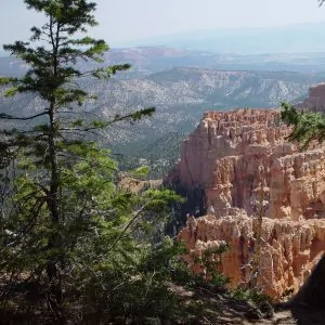 Long views across the densely tree populated valleys of Bryce Canyon.