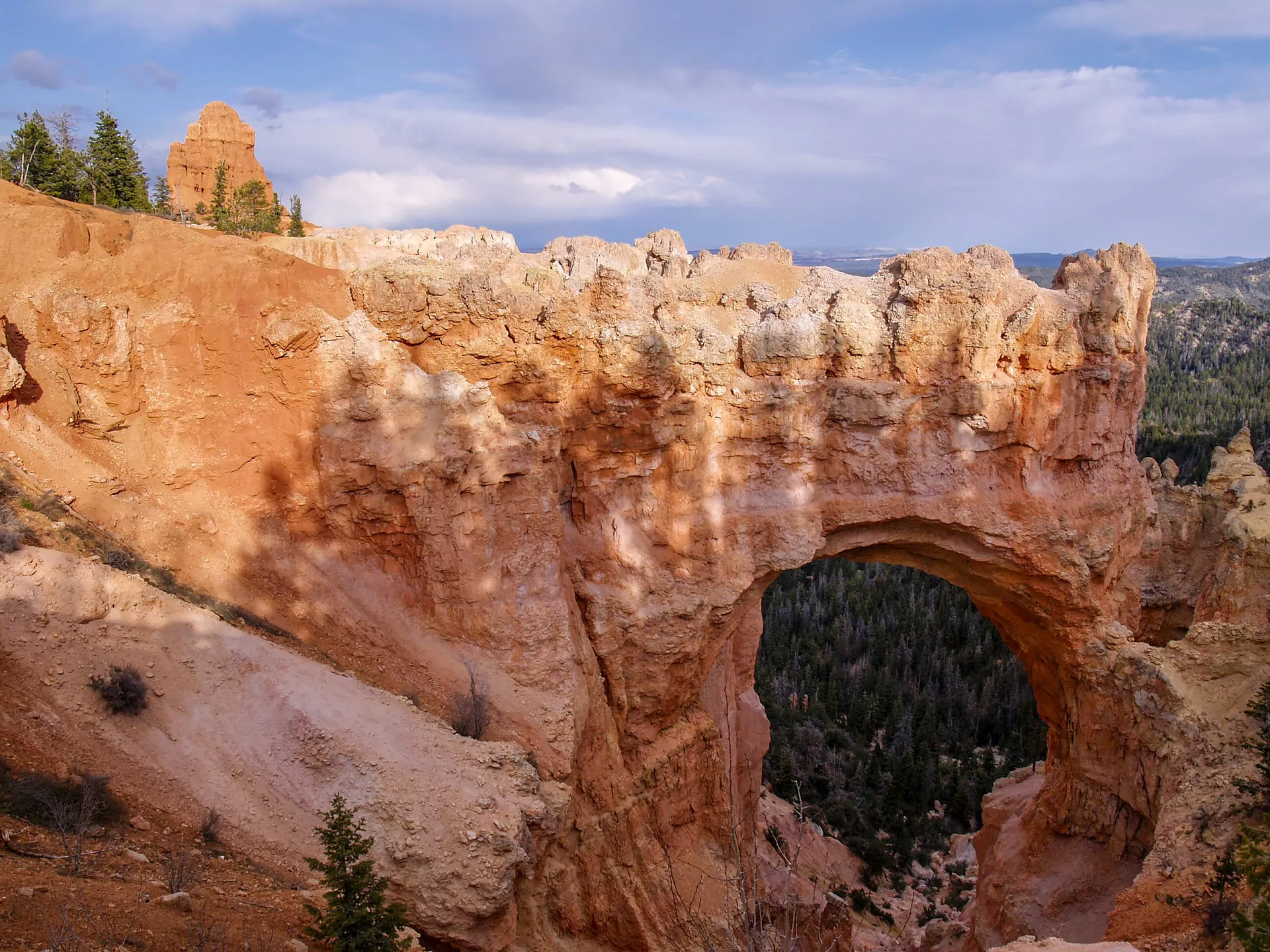 bryce canyon tours for seniors