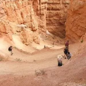 busy and steep hiking trails in Bryce Canyon