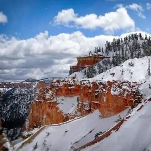 Winter wonderland in Bryce Canyon provides for sandstone and pine trees covered in snow.