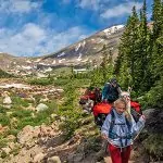 Llama treks with backpackers through Yellowstone National Park blue bird day