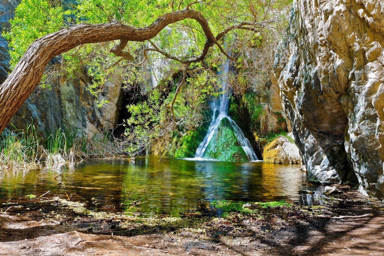 Darwin Falls, part of our Death Valley Basecamp Itinerary