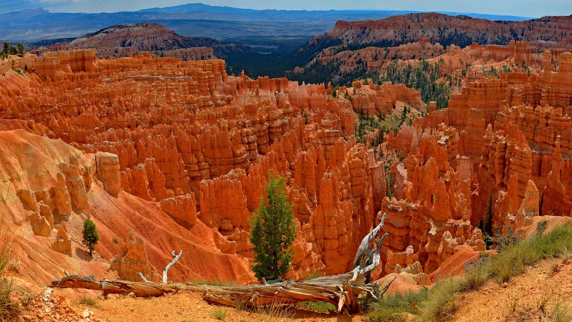 can you visit bryce canyon in january