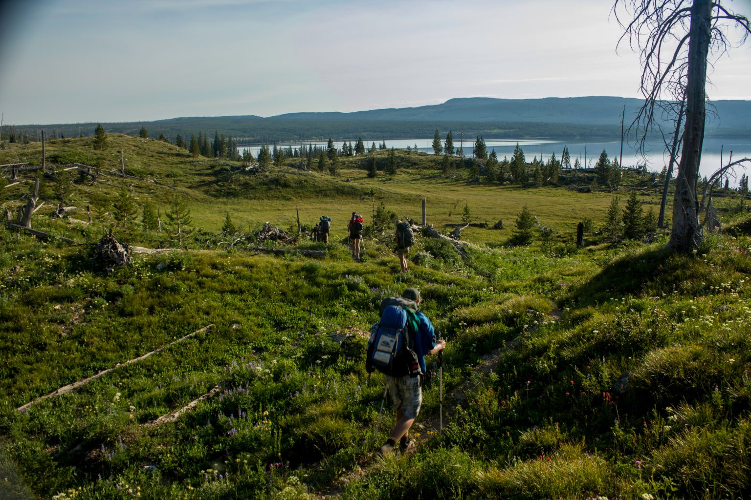 15 Best Beginner Backpacking Trips in the U.S. Wildland Trekking