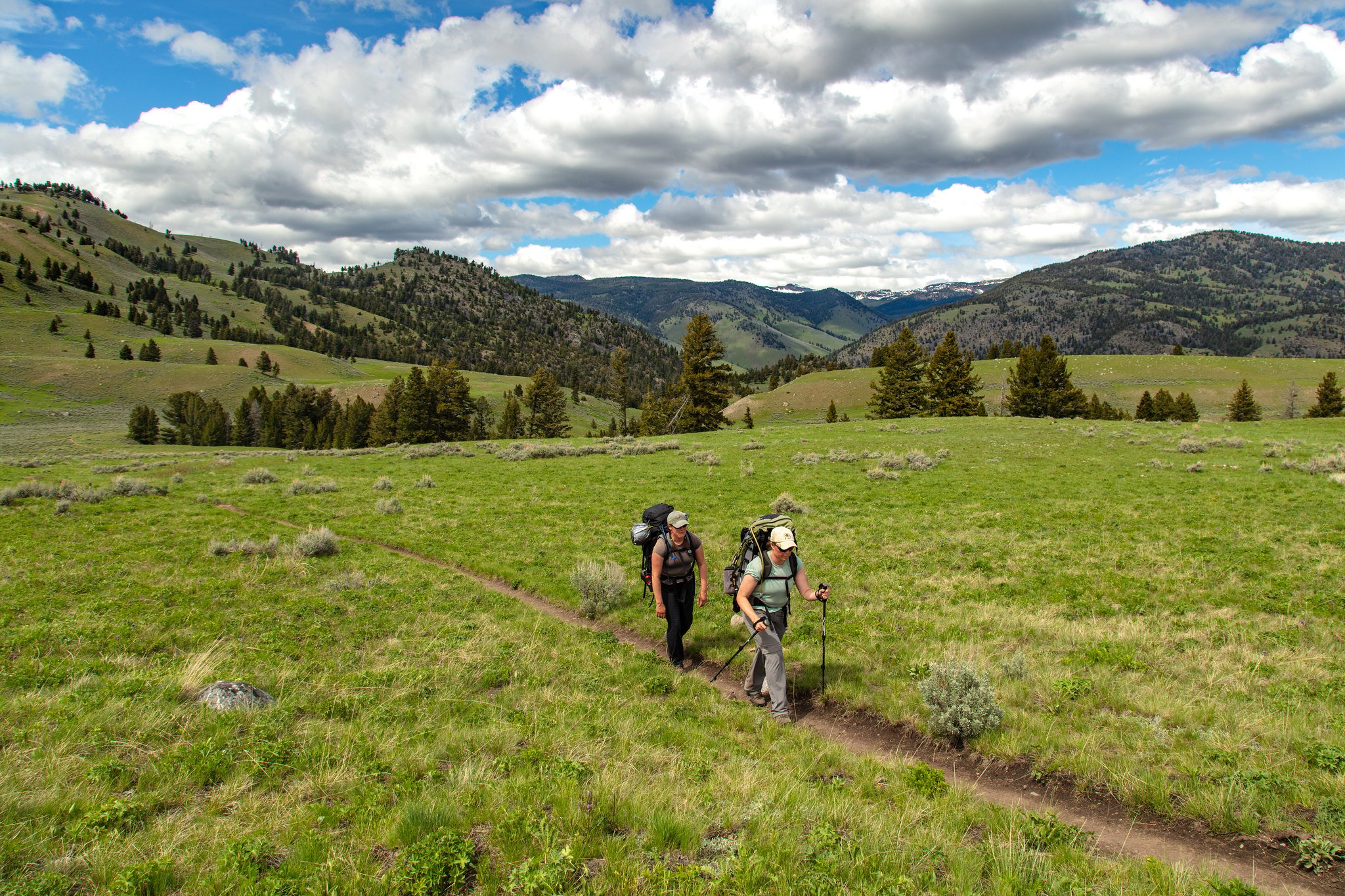 guided backpacking trips montana