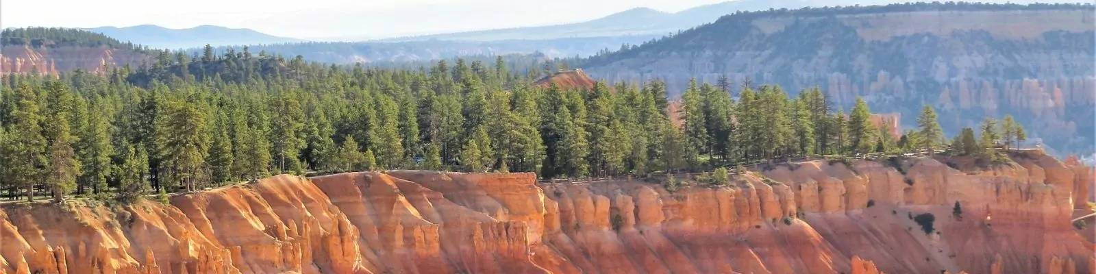 Visiting Bryce Canyon National Park in June - Wildland Trekking