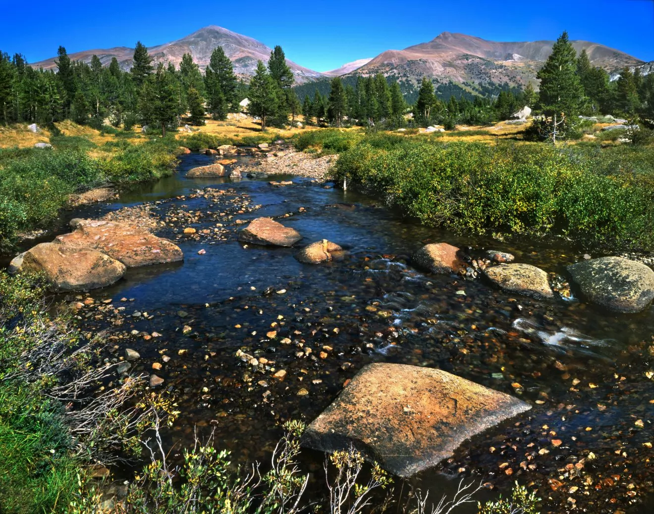 top backpacking trips in california