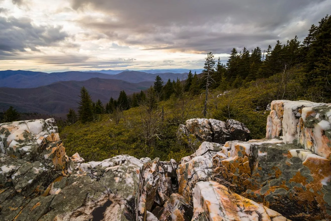 shining rock wilderness