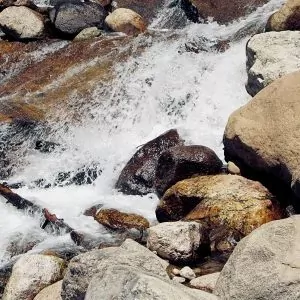 A river rushes down full of alpine snow melt during the summer in Rocky Mountain National Park