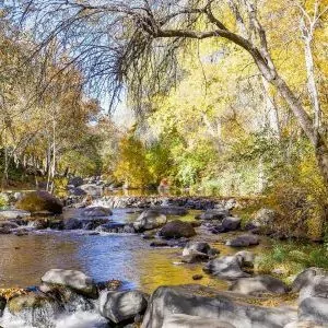 A babbling brook flows under the canopy of fall foliage