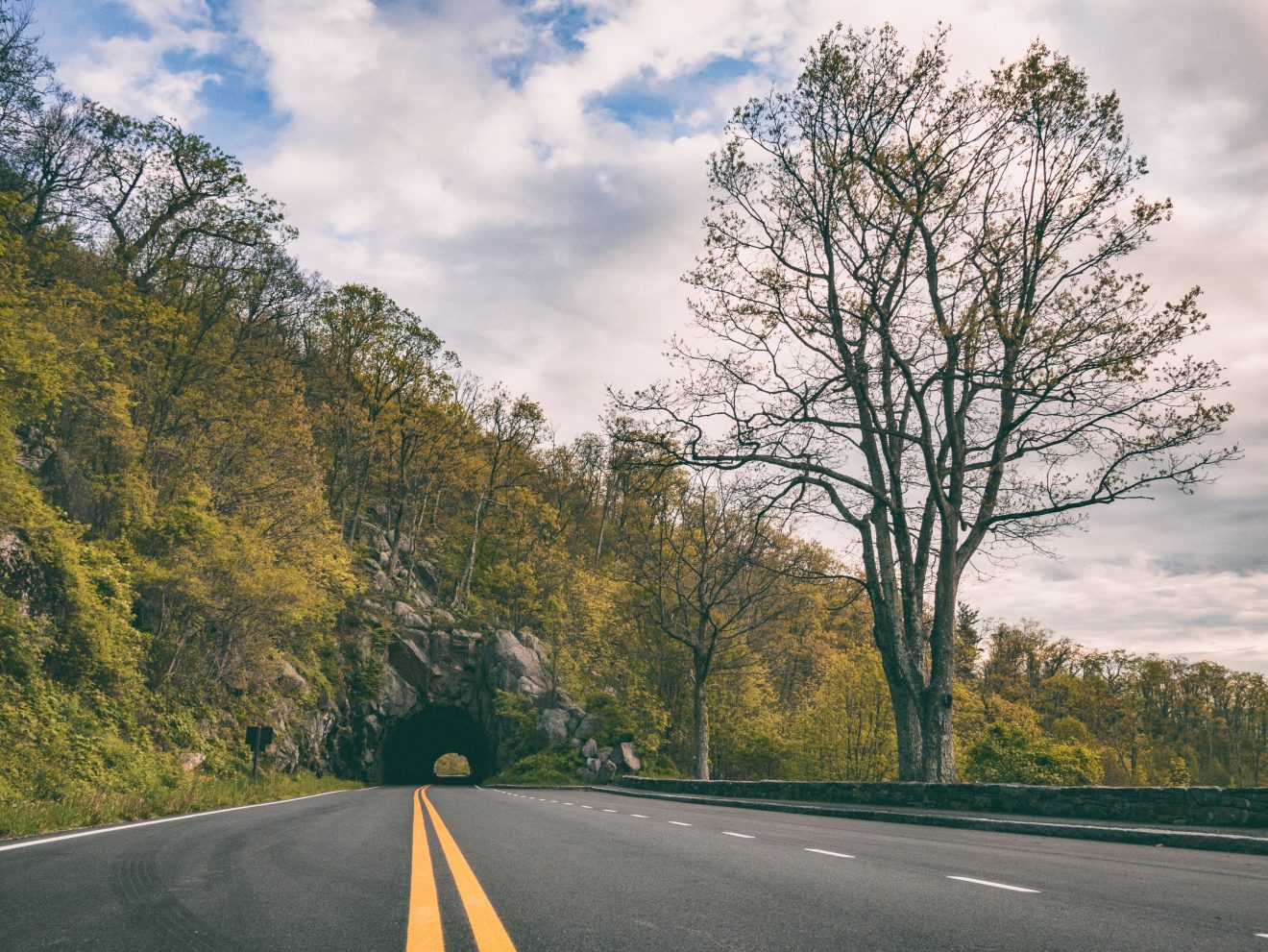 Skyline Drive in Shenandoah