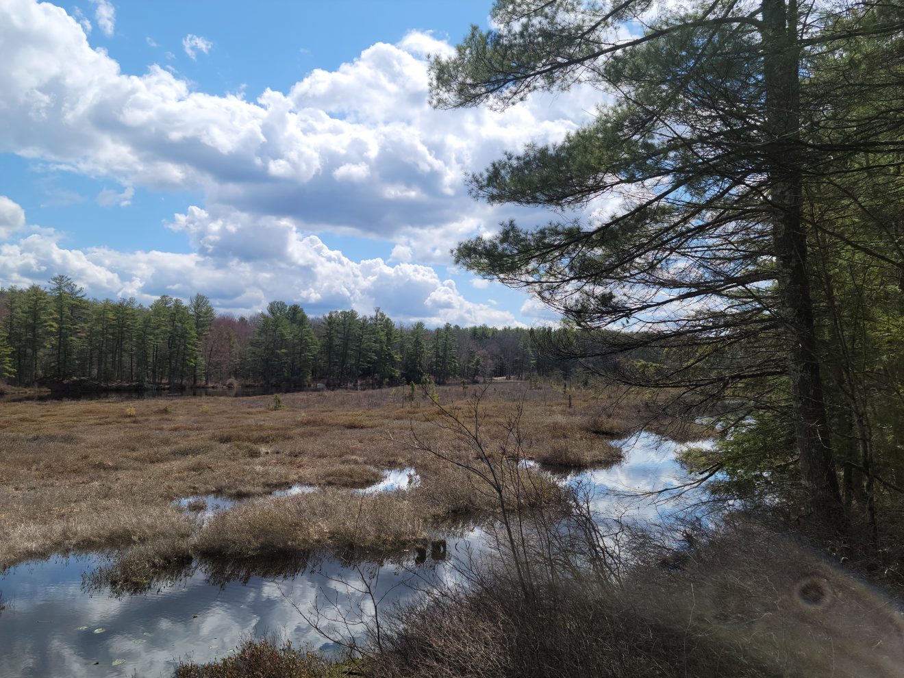 NET Trail in Massachusetts