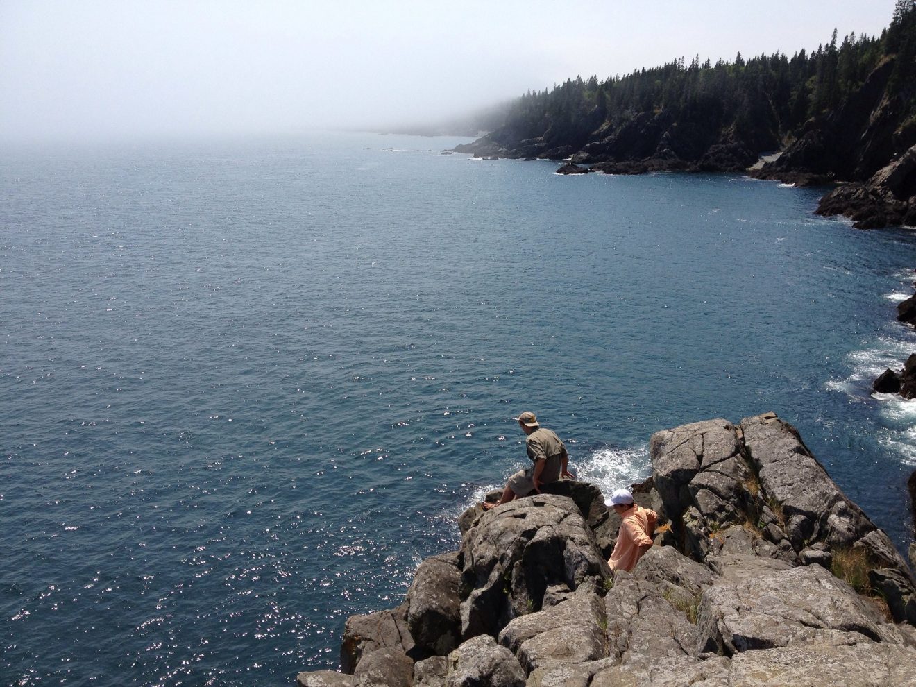 Cutler Coast trail in Maine, great beginner backpacking destination