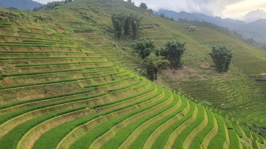 Vietnam Sapa Trek | Vietnam Trekking | Vietnam Hiking Tour