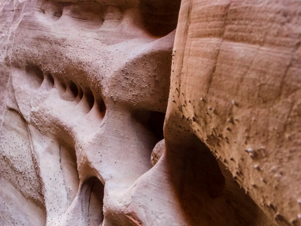 up close desert hiking details