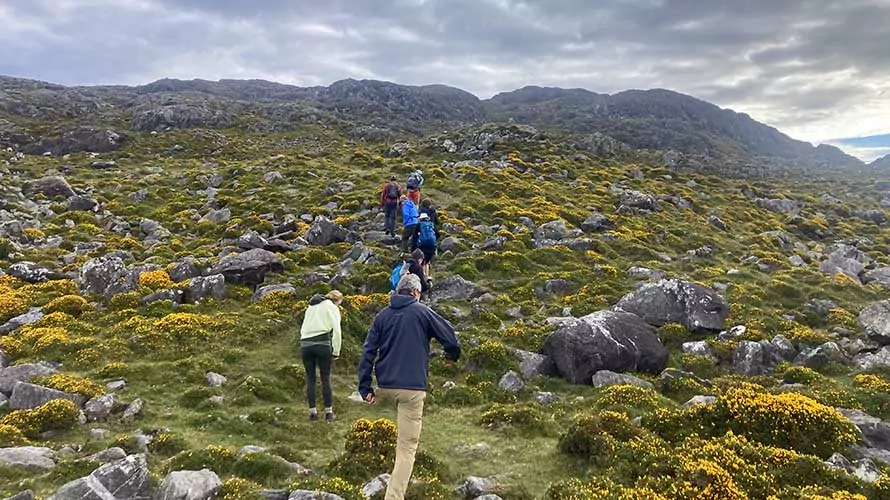 Wildland Trekking guests hiking on the Best of Ireland Tour