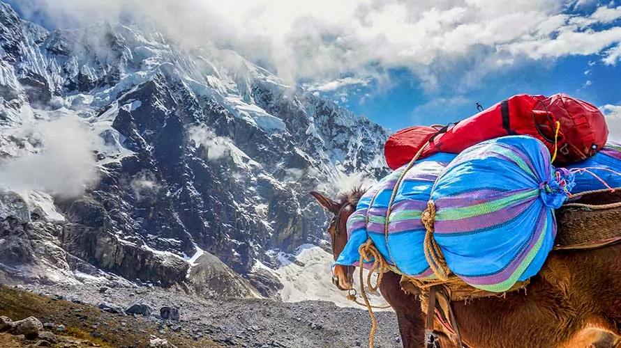 Hiker Approaching Salkantay Mountain, Peru